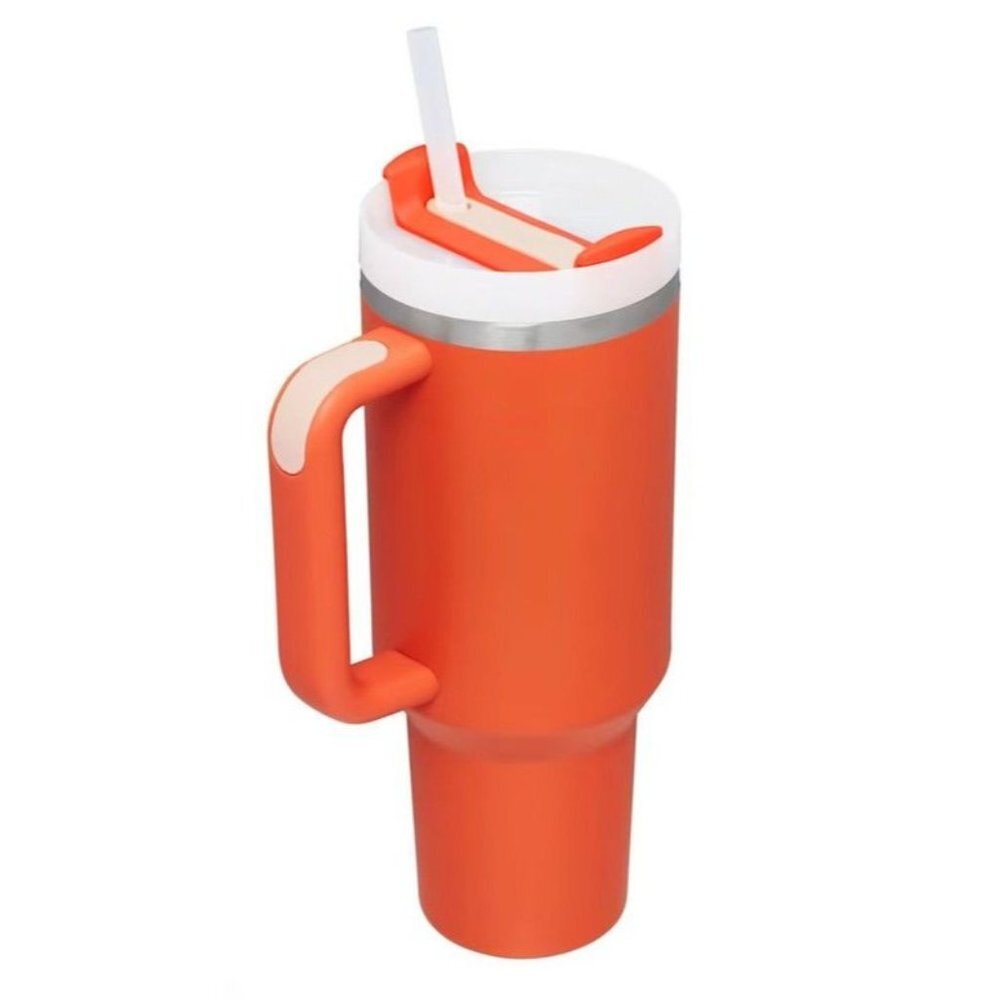 Diona J Insulated Stainless Steel Water Bottle with Handle and Straw Lid Orange